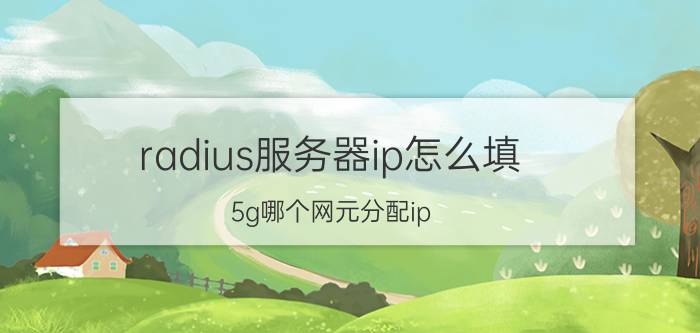 radius服务器ip怎么填 5g哪个网元分配ip？